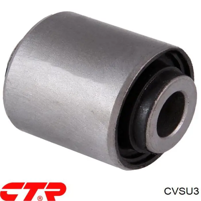 CVSU3 CTR