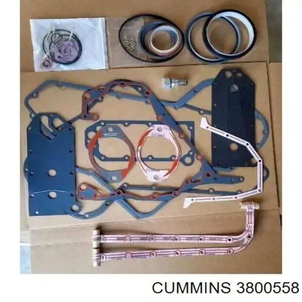 3800558 Cummins Комплект прокладок двигателя, нижний