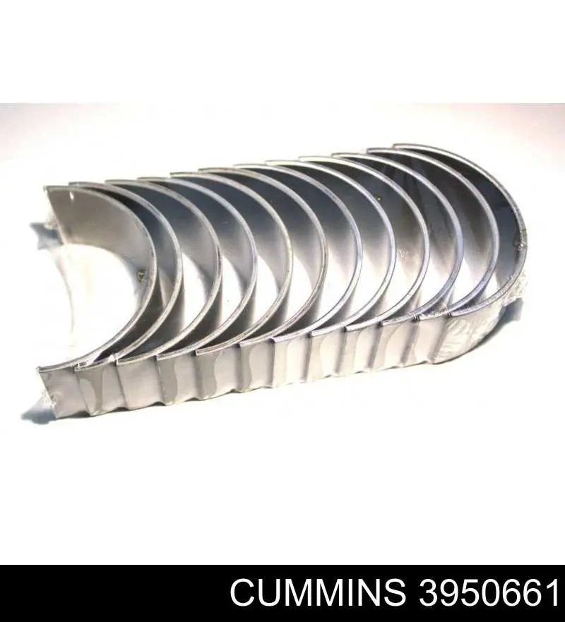  Cummins 3950661