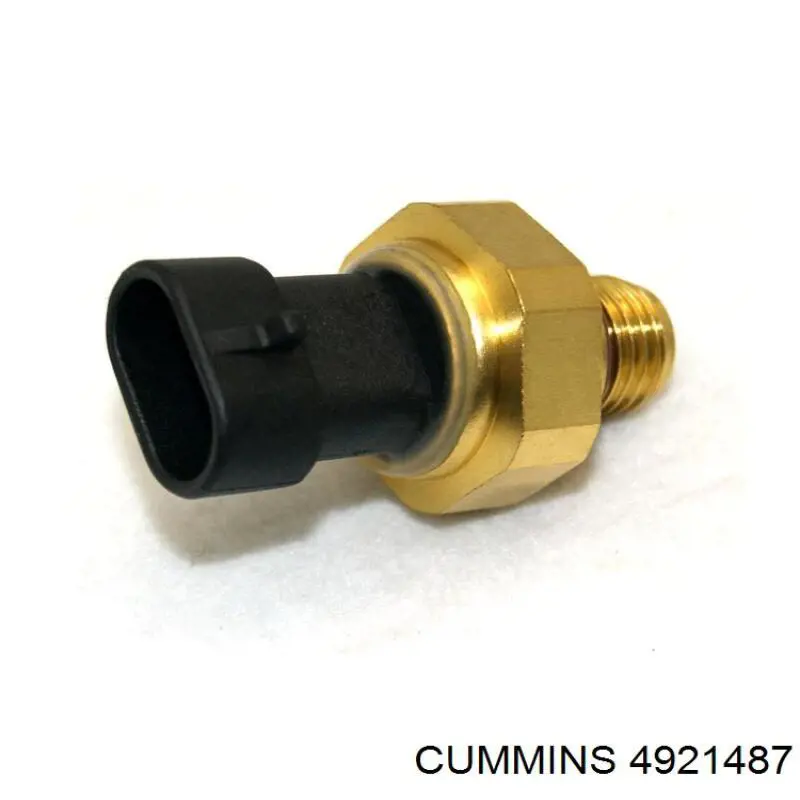 4921487 Cummins 