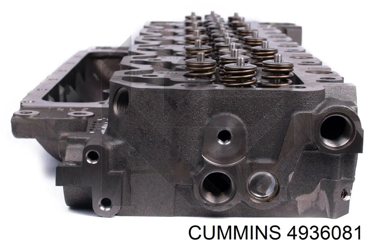 4936081 Cummins 