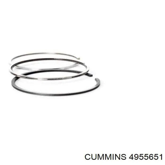 4955651 Cummins 