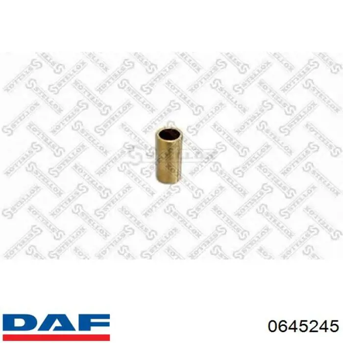 0645245 DAF 