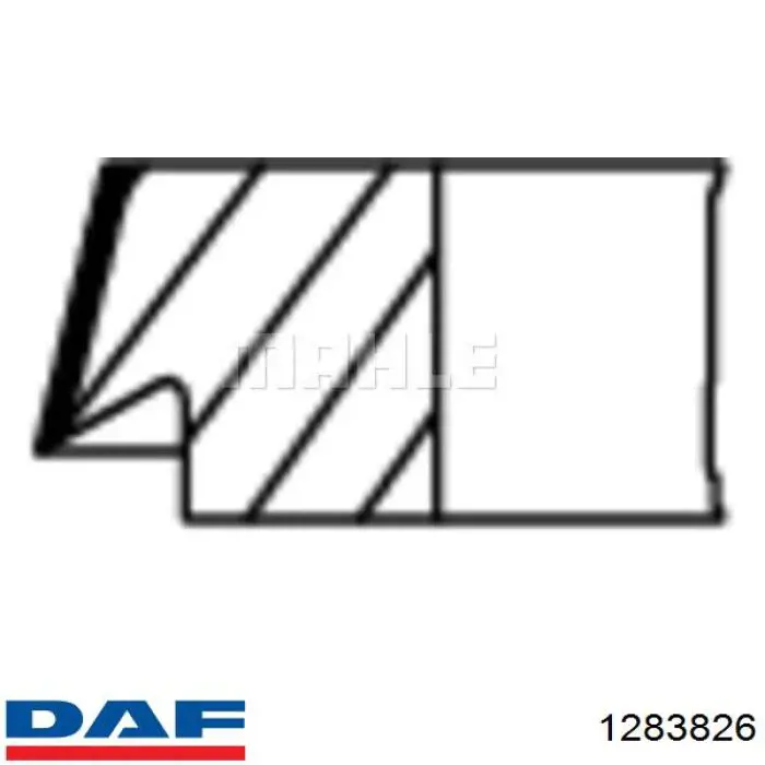 Купить 1283826 DAF Кольца поршневые компрессора на 1 цилиндр, STD