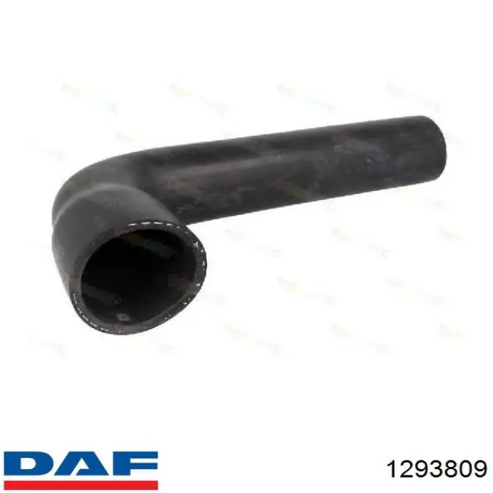 1293809 DAF Патрубок радиатора охлаждения нижний