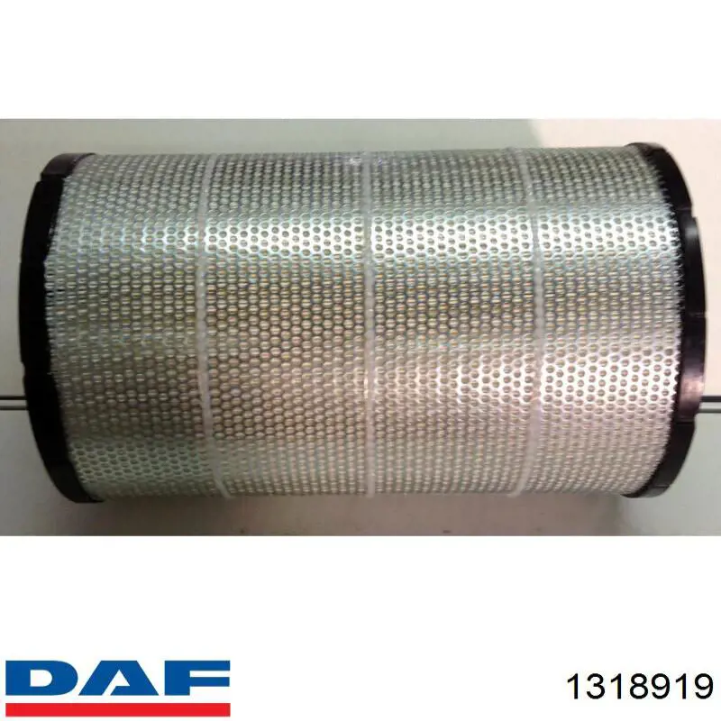 0754718 DAF Воздушный фильтр двигателя