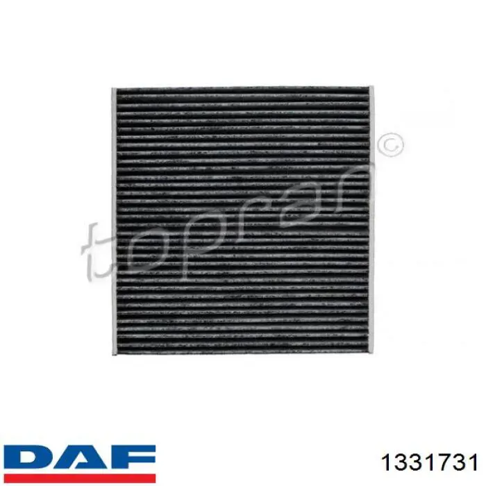 1331731 DAF 