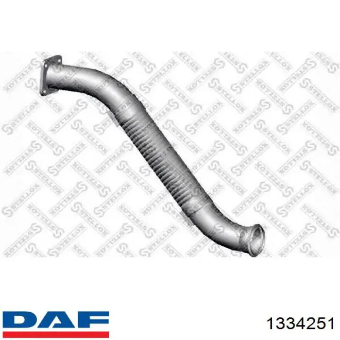  1293071 DAF
