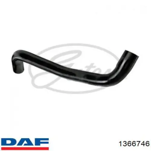 1366746 DAF 