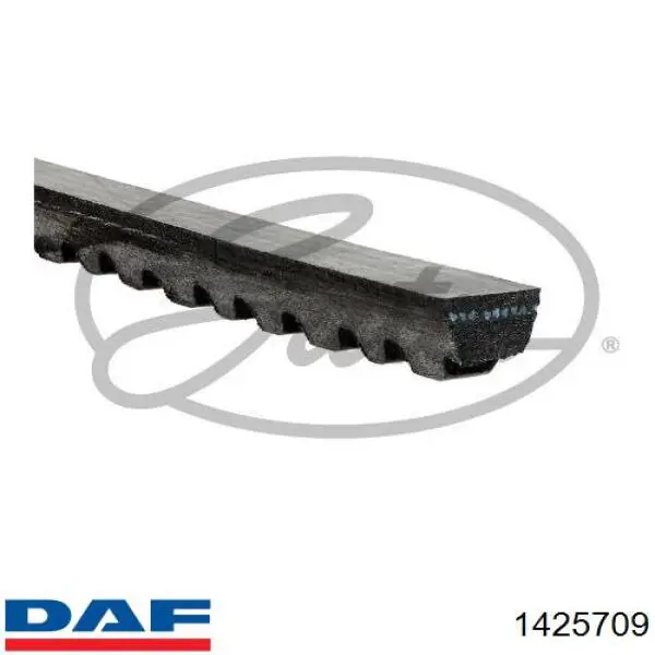 Клиновый ремень DAF 1425709 цена, от 4.60 USD