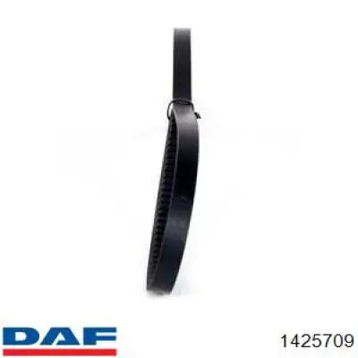 1425709 DAF Поликлиновый ремень