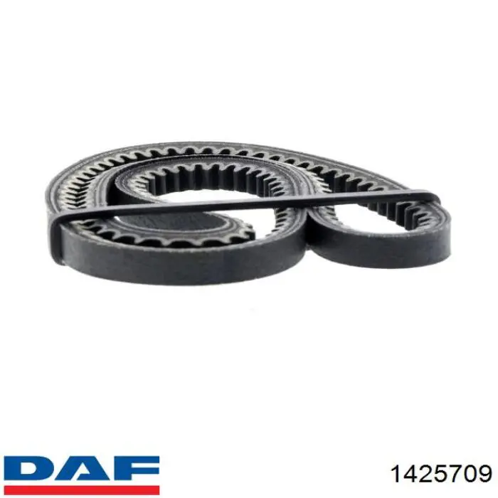Купить 1425709 DAF Ремень генератора