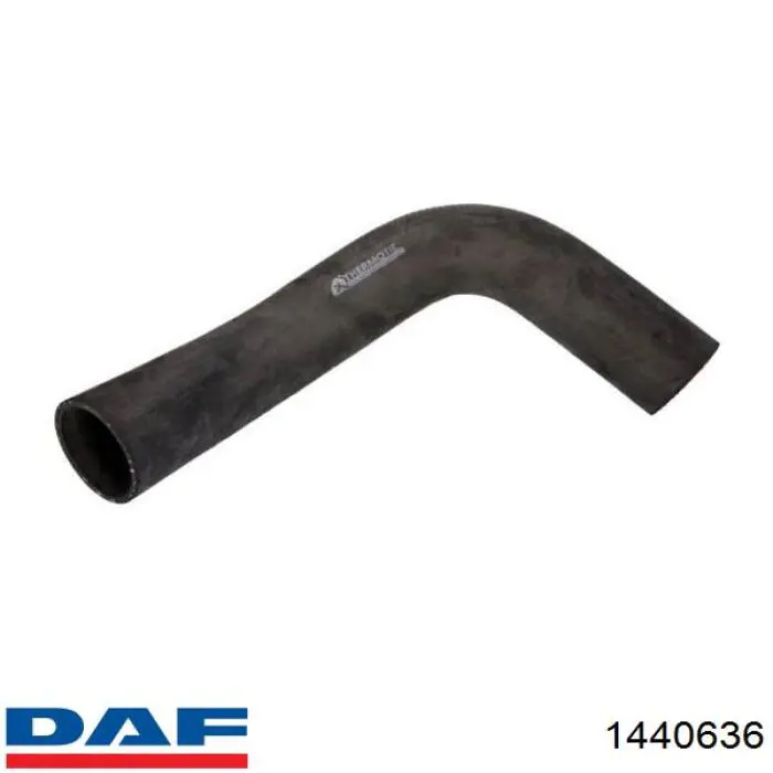 Нижний шлаг радиатора охлаждения 1440636 DAF