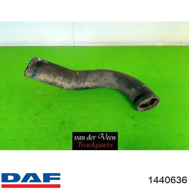 Шланг радиатора, нижний Le.ma. 630029 цена, от 17.39 USD