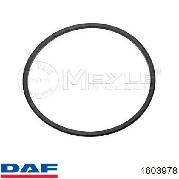 Купить 1603977 DAF Гильза поршневая