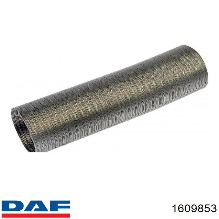 1609853 DAF Насос водяной