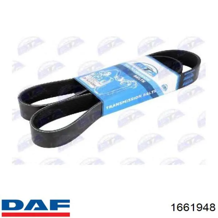 Купить 1661948 DAF Ремень генератора