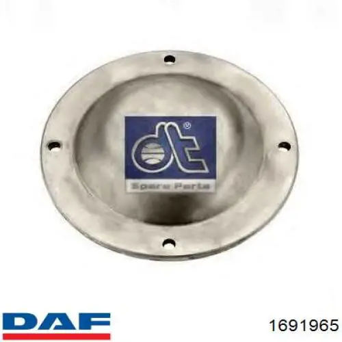 1691965 DAF Заглушка ступицы