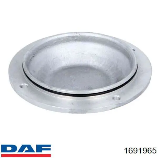 Заглушка ступицы DAF 1691965 цена, от 16.69 USD