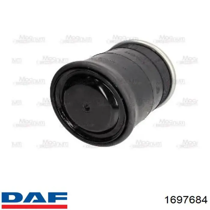 1697684 DAF Пневморессора задняя