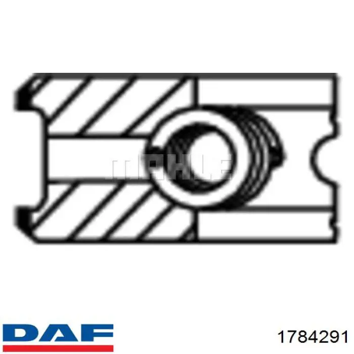 Кольца поршневые STD на 1 цилиндр DAF 1784291 цена, от 18.86 USD