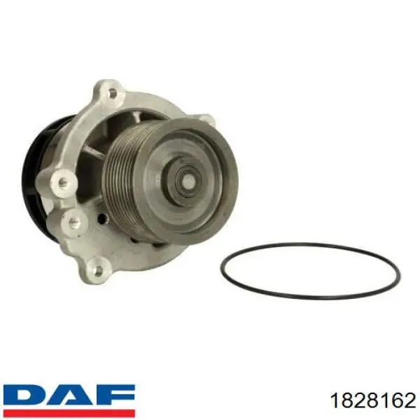 Купить 1828162 DAF Насос охлаждения