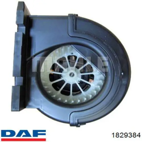  1829384 DAF