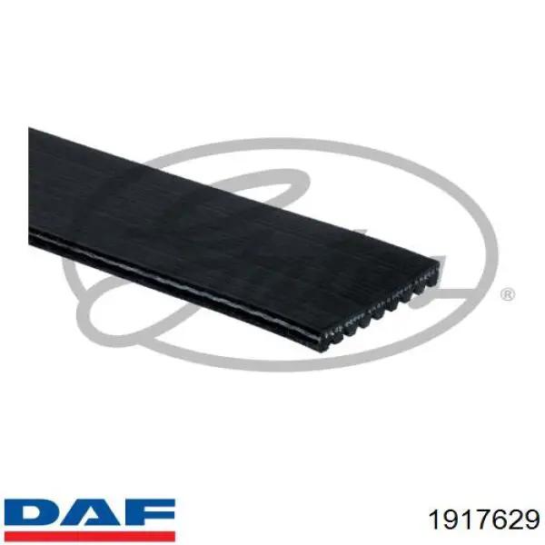 1917629 DAF Поликлиновый ремень