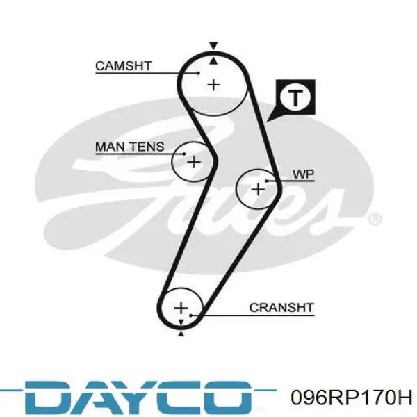 Ремень ГРМ 096RP170H Dayco