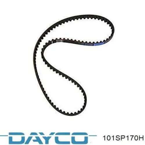 Купить 101SP170H Dayco Ремень газораспределительного механизма