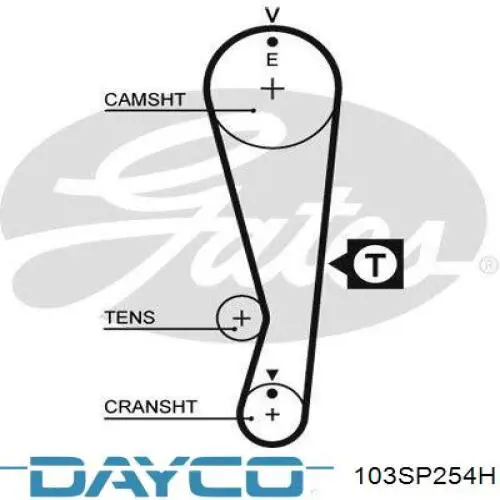 Ремень ГРМ 103SP254H Dayco