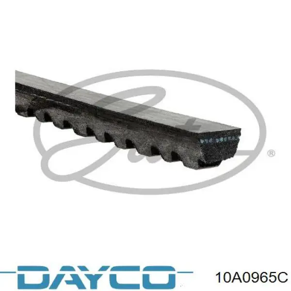 Ремень генератора 10A0965C Dayco
