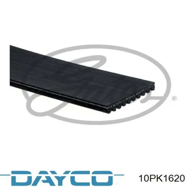 Клиновый ремень Dayco 10PK1620 цена, от 24.16 USD
