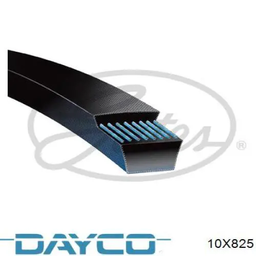 10X825 Dayco ремень генератора