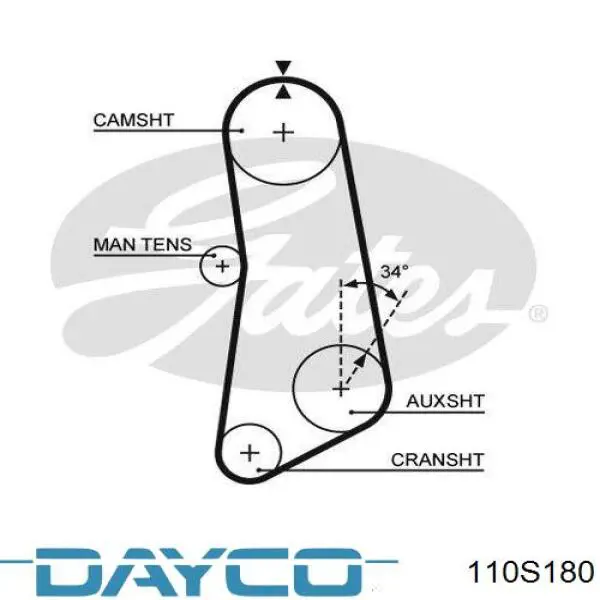 Ремень ГРМ 110S180 Dayco