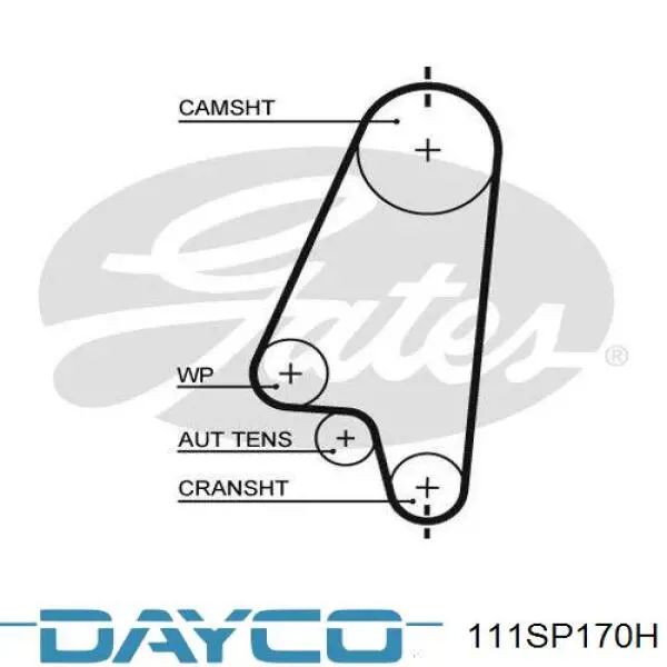 Зубчатый ремень Dayco 111SP170H цена, от 9.35 USD