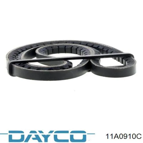 11A0910C Dayco