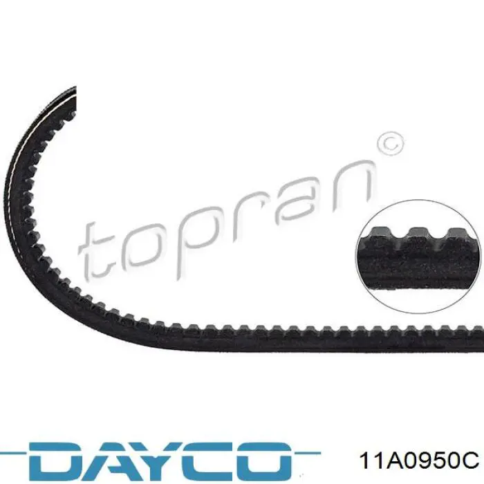 Correa trapezoidal 11A0950C Dayco