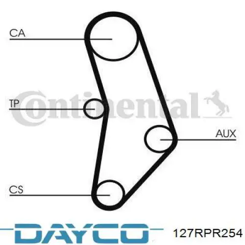 127RPR254 Dayco
