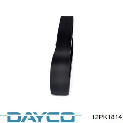 12PK1814 Dayco 