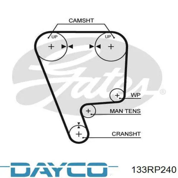 Ремень ГРМ 133RP240 Dayco