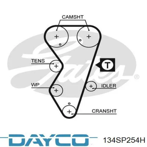 Ремень ГРМ 134SP254H Dayco