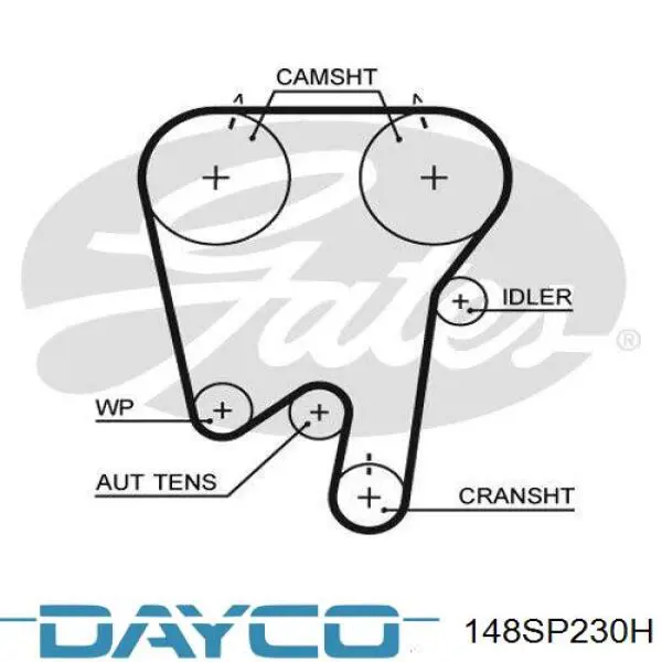 Зубчатый ремень Dayco 148SP230H цена, от 23.37 USD