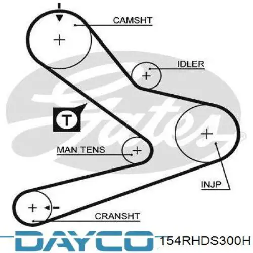 Купить 154RHDS300H Dayco Ремень газораспределительного механизма