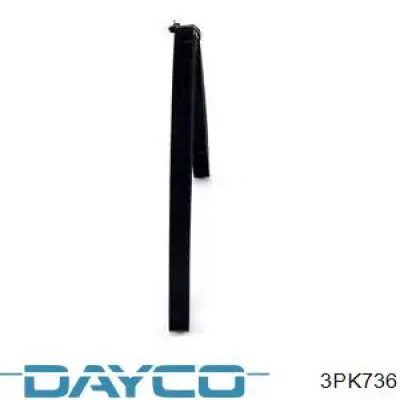 Купить 3PK736 Dayco Ремень генератора