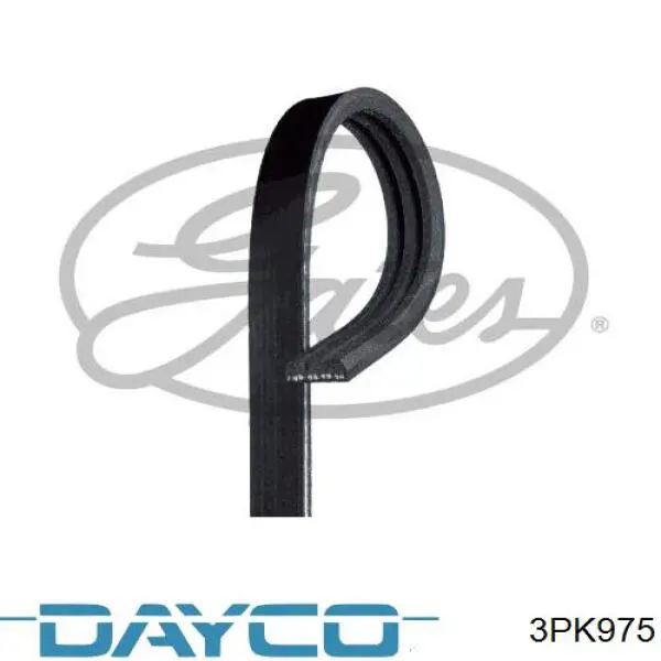 Купить 3PK975 Dayco Ремень генератора