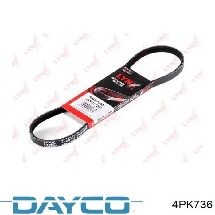 Клиновый ремень Dayco 4PK736 цена, от 5.45 USD