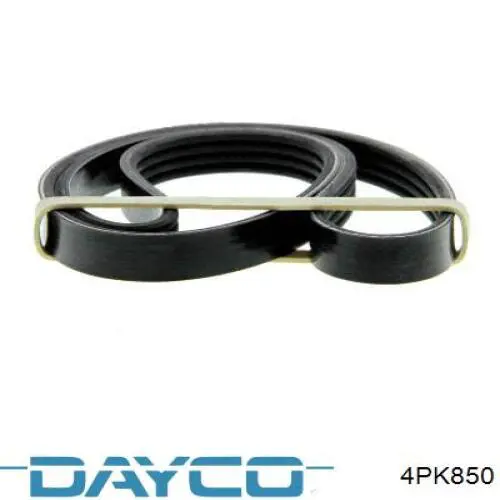 4PK850 Dayco