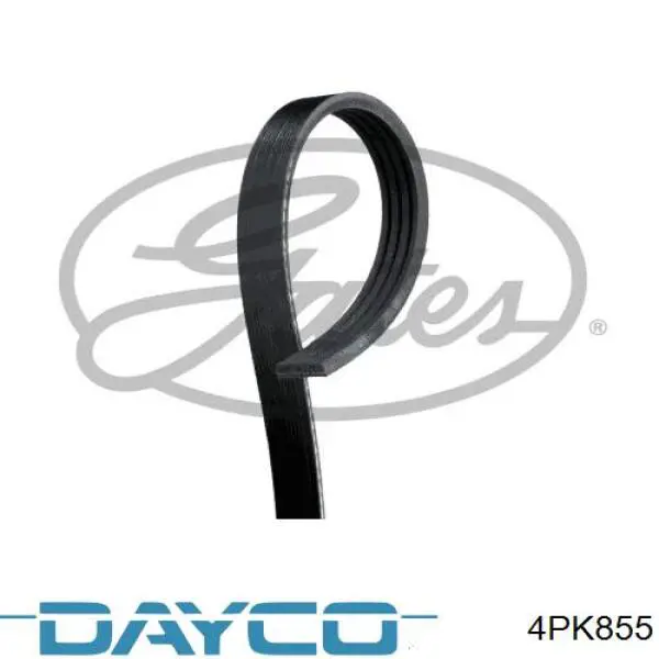 Клиновый ремень Dayco 4PK855 цена, от 6.48 USD