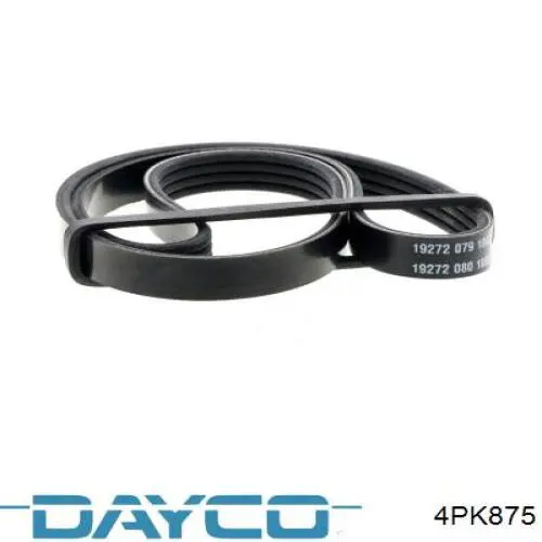 Купить 4PK875 Dayco Ремень генератора